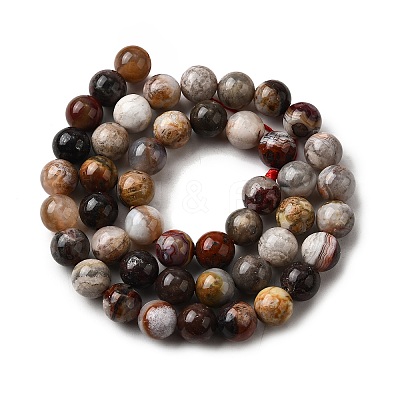 Natural Mexico Crazy Agate Beads Strands G-L615-A01-02-1