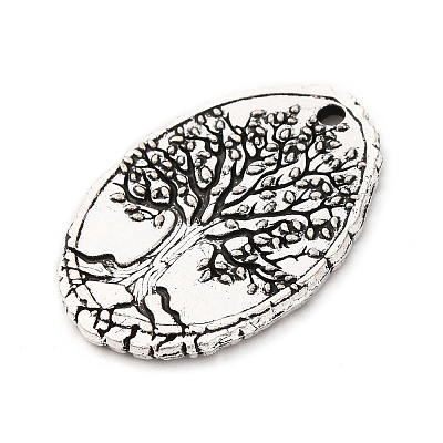 Tibetan Style Alloy Pendants FIND-A053-05C-AS-1