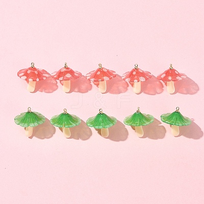 10Pcs 2 Colors Plastic Pendants KY-FS0001-34B-1