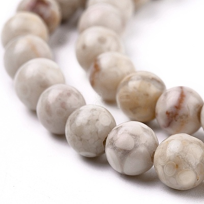Natural Maifanite/Maifan Stone Beads Strands X-G-I187-6mm-01-1