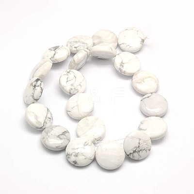Natural Flat Round Crackle Howlite Beads Strands G-L246-04-1