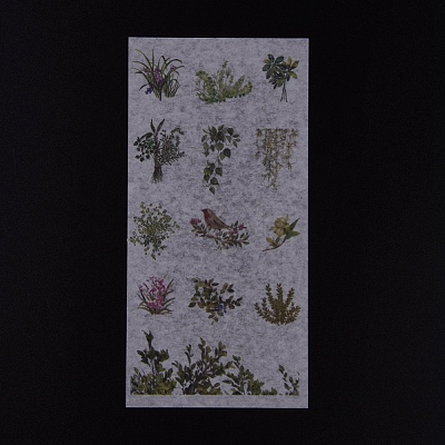 Natural Theme Stickers DIY-L038-A08-1