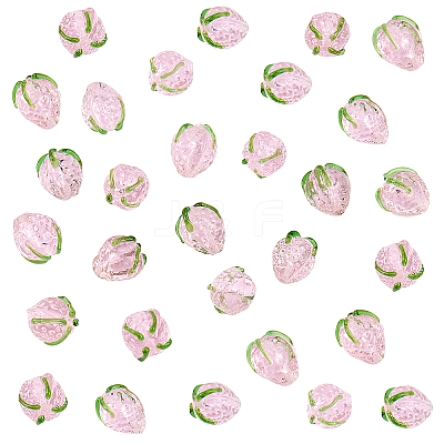 30Pcs Handmade Lampwork Beads LAMP-PH0002-21-1