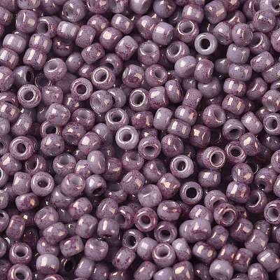 TOHO Round Seed Beads SEED-XTR08-1202-1