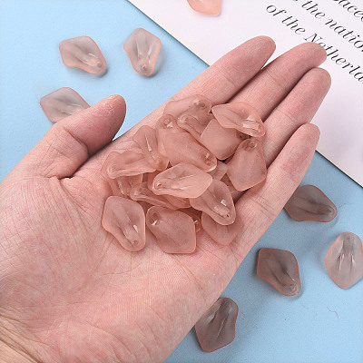 Transparent Frosted Acrylic Pendants MACR-S371-03A-763-1
