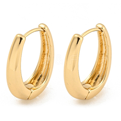 Alloy Hoop Earring EJEW-P269-18KCG-1