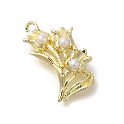 Alloy Pendants FIND-Z067-05G-05-1