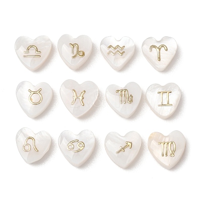 12Pcs 12 Styles Natural Freshwater Shell Beads SH-CBAD3AC-07-1