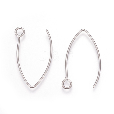 Tarnish Resistant 304 Stainless Steel Earring Hooks STAS-L216-03A-P-1