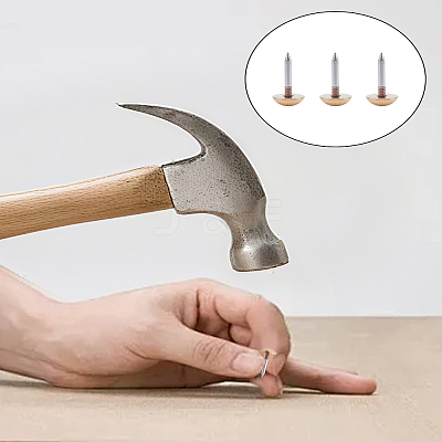 10Pcs Brass Furniture Nails KK-LP0004-74-1