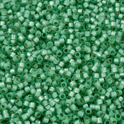 MIYUKI Delica Beads SEED-J020-DB2188-1