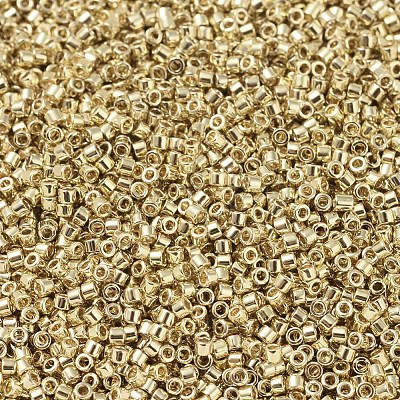 MIYUKI Delica Beads X-SEED-J020-DB0034-1