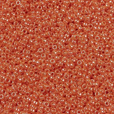 MIYUKI Round Rocailles Beads X-SEED-G009-RR0424-1