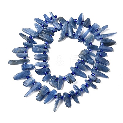 Natural Kyanite Beads Strands G-J403-02-1