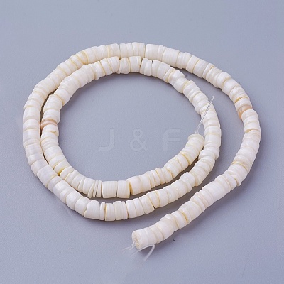 Natural Shell Beads Strands X-SSHEL-E571-49I-1