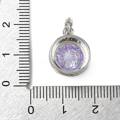 925 Sterling Silver Pave Cubic Zirconia Pendants STER-B009-01B-05-1
