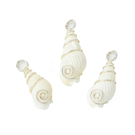 Natural Trumpet Shell Pendants PALLOY-JF02794-02-1