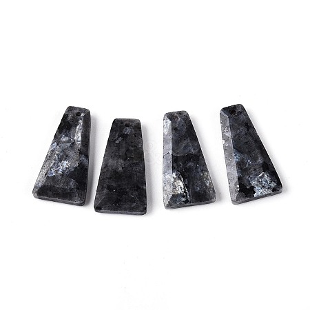 Natural Larvikite Pendants G-Q601-10A-1