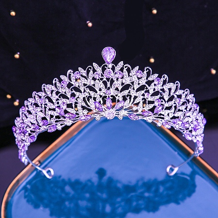 Alloy Rhinestone Crown Hair Bands PW-WG495EE-02-1