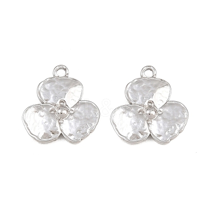 304 Stainless Steel Charms SA-CBA3ECF-05P-1
