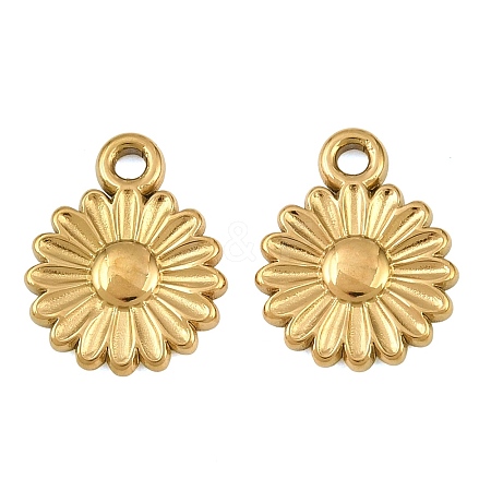 304 Stainless Steel Charms SA-CBA1839-13G-1