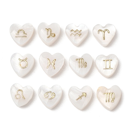 12Pcs 12 Styles Natural Freshwater Shell Beads SH-CBAD3AC-07-1
