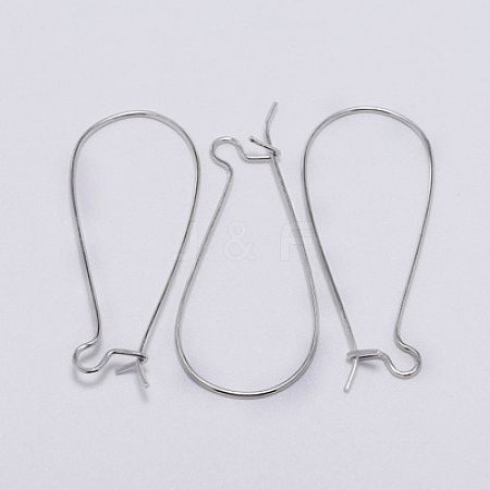 Iron Hoop Earring Findings IFIN-CJC0001-04P-1