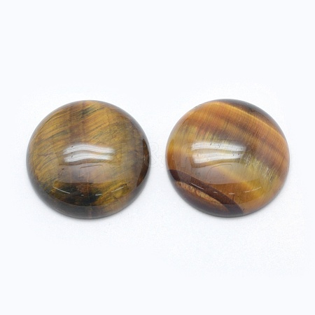 Natural Tiger Eye Cabochons G-E492-F-01-1