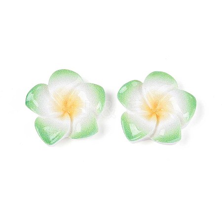 Plumeria Flower Opaque Resin Cabochons CRES-T025-30G-02-1