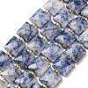 Natural Blue Spot Jasper Beads Strands G-F839-A15-01-2