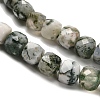 Natural Tree Agate Beads Strands G-H078-C06-01-4