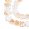 Natural Freshwater Shell Beads Strands SHEL-N026-67A-3
