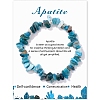 Natural Apatite Chips Beaded Stretch Bracelets PW-WG309C1-03-1