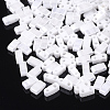 2-Hole Opaque Glass Seed Beads SEED-S023-06-1