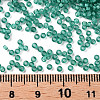 12/0 Grade A Round Glass Seed Beads SEED-N001-D-20/218-3