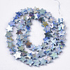 Freshwater Shell Beads Strands SHEL-N026-08E-2