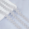 Polyester Lace Ribbons OCOR-WH0082-20B-3