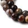 Natural Mexico Crazy Agate Beads Strands X-G-L615-A01-02-7