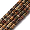 Natural Picasso Jasper/Polychrome Jasper Beads Strands G-L624-I15-2x4mm-2