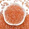 6/0 Spray Paint Fringe Glass Seed Beads X1-SEED-H003-11C-3