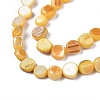 Natural Trochid Shell/Trochus Shell Beads Strands SHEL-S258-083-B11-3