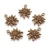 Tibetan Style Alloy Pendants TIBEP-A113357-AB-FF-1