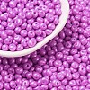 6/0 Glass Seed Beads SEED-L011-08A-26-1