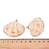 Natural Sea Shell Pendants SSHEL-N038-16-3