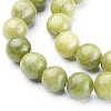 Natural Gemstone Beads GSR032-6