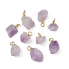 Raw Rough Natural Amethyst Pendants PALLOY-JF05951-1