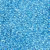 6/0 Baking Paint Transparent Fringe Glass Seed Beads X1-SEED-N006-06L-3