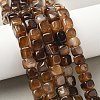 Natural Dragon Veins Agate Beads Strands G-G177-E07-05-5