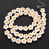 Natural Freshwater Shell Beads Strands with Enamel SHEL-T018-30-3