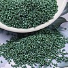 MIYUKI Delica Beads X-SEED-J020-DB2311-1